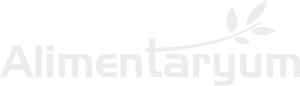 alimentaryum logo 1 1