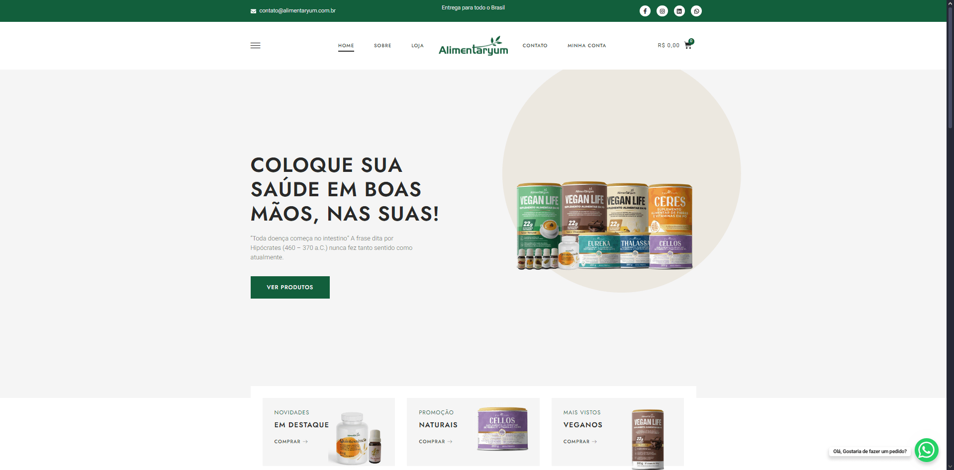 Imagem de portifolio da Agência de criação de sites Wa Web Design | Valorização de Empresas